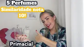 Top 5 Perfumes da Primacial que se confundem com os importados