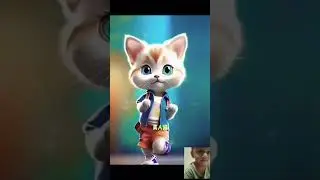 Cat dance @catchloeandkittens  @aadishorts1m #shortvideo #shortvideo #shor # #shorts