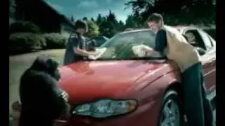 Trunk Monkey