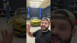 Mustang best bang for your buck