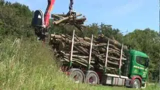 Autumn Preparations