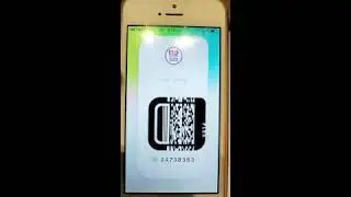 Spedn Wirex Comparison