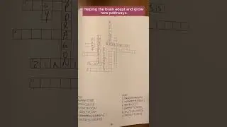 Crossword Detective: Insect Activity Book | Buzzing Fun for Puzzle Lovers!