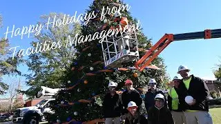 Facilities Decorates Christmas Tree on Samford Lawn