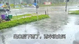 vlog ‖ sg