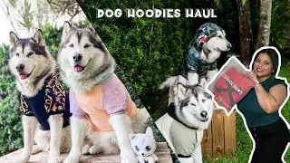 Толстовки для собак крупных пород | Spark Paws достает и примеряет