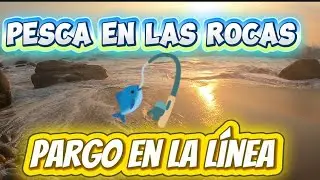 En está ocasión nos fuimos a pescar a las rocas y esto fue lo que logramos capturar.