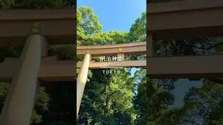 Meiji Shrine in Tokyo 🇯🇵⛩️ | Beautiful Japan Travel Spot