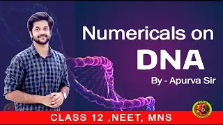 Numericals on (DNA) | CLASS 12 BIOLOGY | MNS | NEET 2021