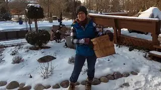 Winter Pruning Day 💪🪚🌲// Suburban Oasis January 2021