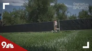 Hearing-impaired soccer Buff proves she is just one of the herd