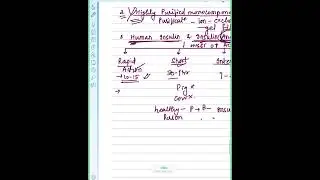 Insulin preparations pharmacology brief explanation