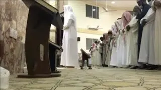سورة الحجرات | محمد الوكيل