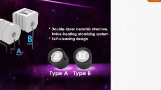 Ecapple Miracle Review- Gansha Guy