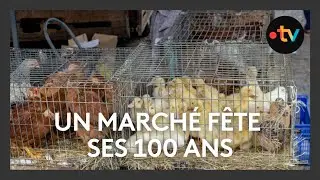 En Berry, le marché de Saint-Aout fête ses 100 ans !