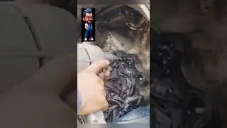 TODO ESTABA TRABADO, ROTO Y OXIDADO… Así Lo Sacamos Adelante