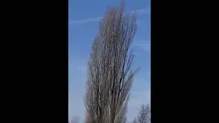 24 poems in 15 seconds, no. 13