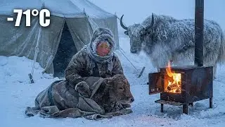 The Miracle at -71&deg;C | How a 93-Year-Old Widow Fought Death to Save a Newborn Calf 