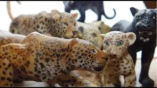 African Animals - Leopards - Schleich Papo CollectA