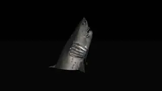 SHARK....GREEN SCREEN EFFECT VIDEO