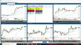 Gap Options Newsletter Subscriber Mentoring Session With ZenTrader