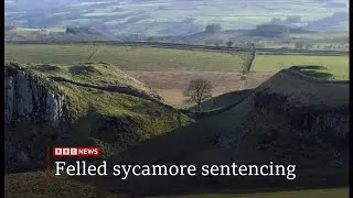 Sycamore Gap tree felling - two criminals sentenced today (28) (UK) 15/July/2025