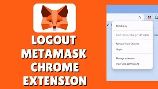 How To Remove Metamask Wallet From Chrome (Logout From Chrome Extension) | Delete Metamask