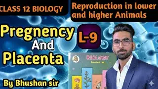 Pregnency & Placenta || Reproduction in lower & Higher Animals || lecture 9 || Class 12 |MHTCET NEET