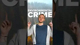 Environmental crime!