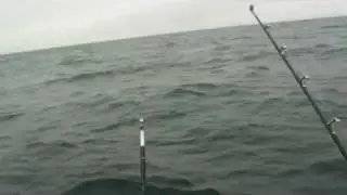 destiny giant tuna capt mike deskin