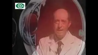 Retina. Retinopat&iacute;a Diab&eacute;tica. Dr. Del Campo. Dr. Castro Feijoo. Dra. Crespo Nano.