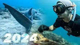 SPEARFISHING & BOATING South Florida || MiddleClass Mayhem 2024