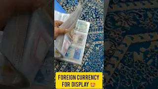 Quick Glimpse of My Money Collection 💸 | India + Global Notes | #Shortsfeed #shorts #money