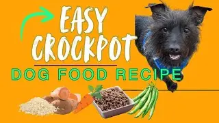 Healthy Homemade Dog Food Recipe / Budget Friendly Crockpot Meal