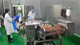 raisin washer  macine ,Fruit washer machine ,Raisin production line