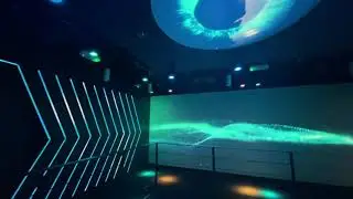 Alef Education - Interactive Experience Centre