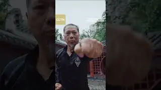 Hung Ga kungfu
