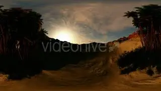 VR 360 Degree Panorama of Palms in Desert at Sunset | Motion Graphics - Videohive template