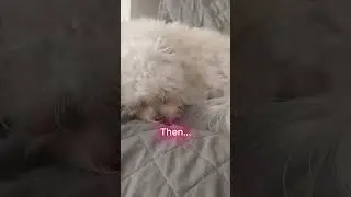 Then vs  Now **Luna edition**