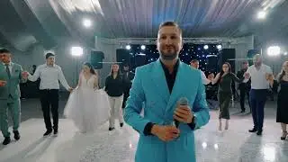 Marius Grecu & Pro Music Orchestra - Colaj Hore 2025 (Live) formatie nunta