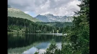 Harmonize Your Mind and Soul: Serene Meditative Piano and Soothing Rain Water Music