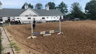 Prima Ballerina & Emily Reynolds Virtual Pony Finals 2030