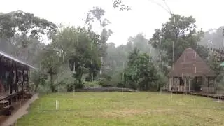 Shiripuno Amazon Lodge: Rain in the Rainforest