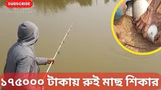 গাজীপুরে মিলিটারি পুকুর থেকে ১৭৫০০০ টাকায় রুই  মাছ শিকার| #handfish #রুই_মাছ #fishing #riverfishing