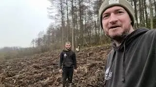 What is commercial reforestation?