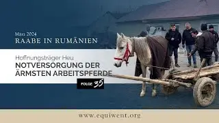Raabe in Rumänien, Folge 35 – Heu für die ärmsten Pferde der EU