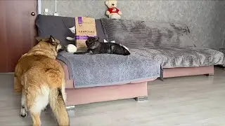 Малютка, Мыр и Марта 