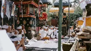 Odalan - Bali Documentation - Griya Timbul Belaluan Denpasar - Trailer