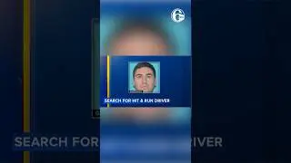 Diver wanted for ramming car into people outside bar: Police