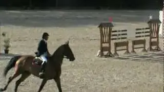 wollywell 2 round GP CSI Ponte de Lima
